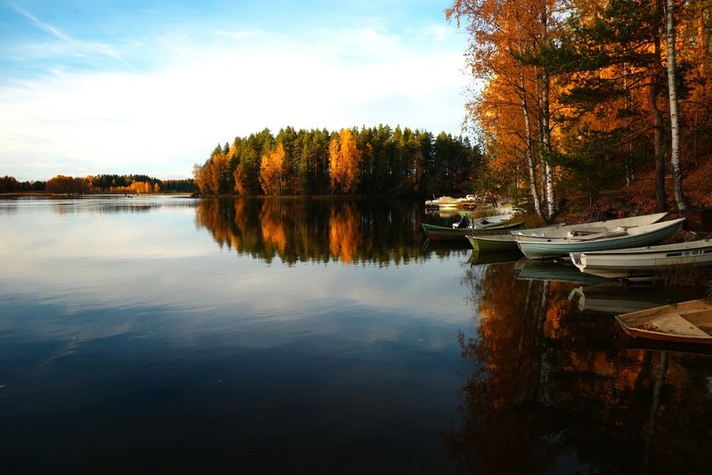 landscape-tree-water-nature-sunrise-sunset-5056-pxhere.com