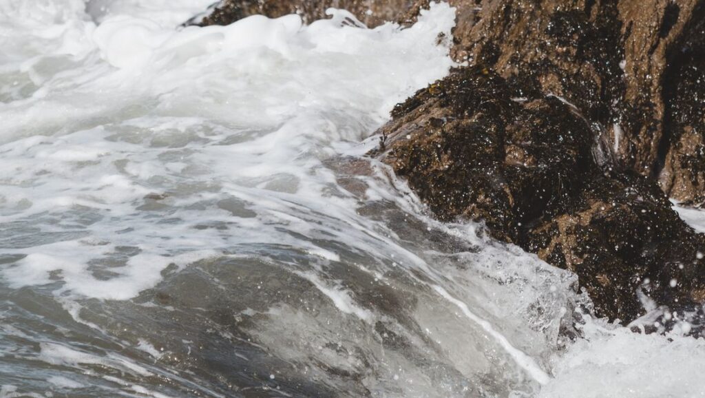 close up shot of rocks on the beach